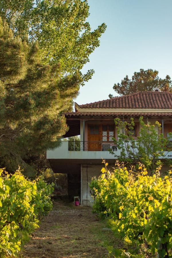 Anastasia Apartments Koroni  Luaran gambar